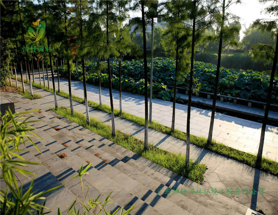 宁波鄞州中心区河道绿化工程改造案例图