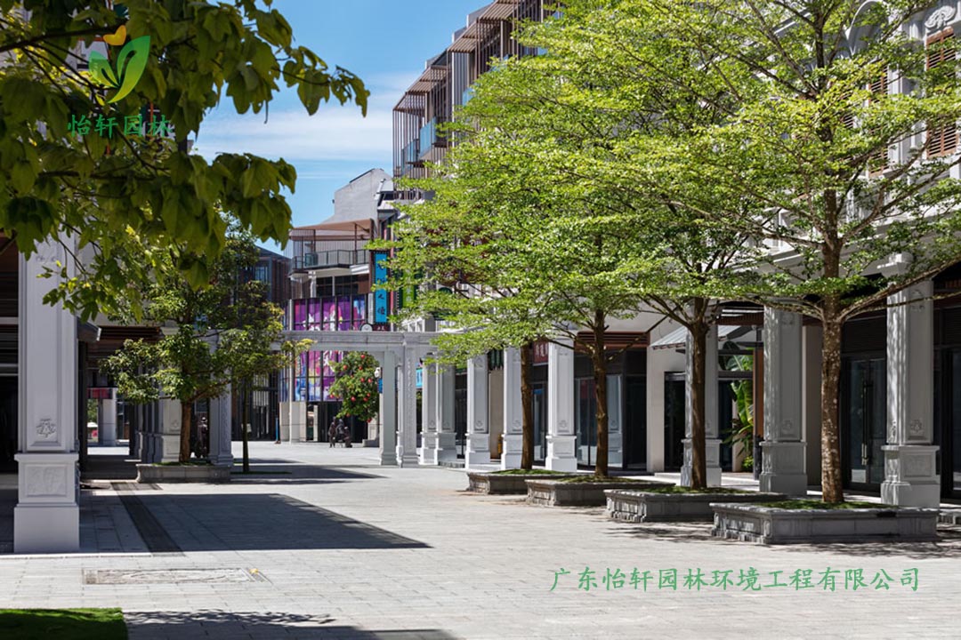 文昌南洋美丽汇商业街绿化工程实景图